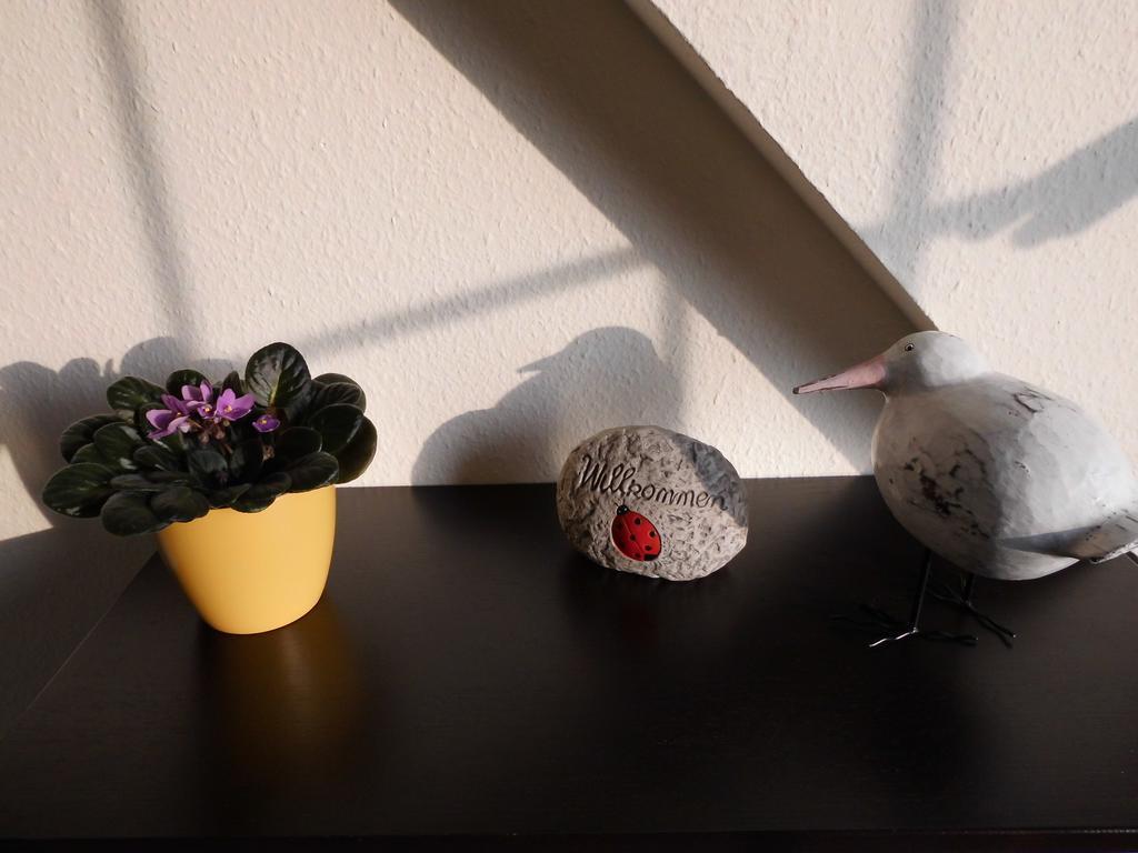 Appartement Am Selenter *